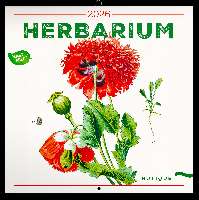 FALINAPTÁR 2026 6097-HE, LEMEZES, 30X30 CM, HERBARIUM