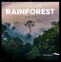 FALINAPTÁR 2026 6097-AR, LEMEZES, 30X30 CM, AMAZING RAINFOREST