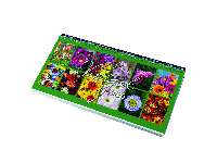 ASZTALI NAPTÁR 2026 7981-08, FEKVŐ, 320x155, VIRÁGOK ZÖLD