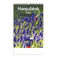 FALINAPTÁR 2026 T094-12A, 220 MM X 325 MM, HANGULATOK