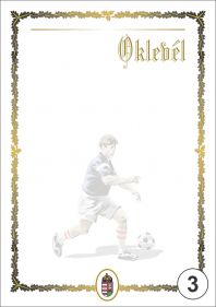 oklevel_A4_3.jpg