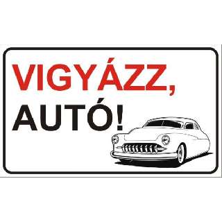 MATRICA VIGYÁZZ, AUTÓ, 25X15