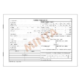 C.3341-38 TERHES TÖRZSLAP, FEKVŐ 8 OLDAL + BORÍTÓ, A/5, 70 g/m2 ofszet 1+1 SZÍN
