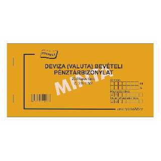 C.318-119/V DEVIZA BEVÉTELI BIZONYLAT, 25X3 PÉLDÁNYOS, 200x98 MM