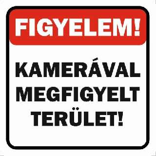 MATRICA KAMERÁVAL MEGFIGYELT TERÜLET 2., 10X10