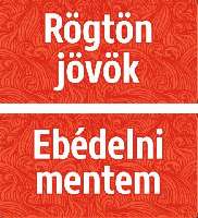 TÁBLA RÖGTÖN JÖVÖK-EBÉDELNI MENTEM, 20X10, PIROS