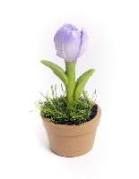 DEKOR TULIPÁN+CSERÉP, PORCELÁN, LILA