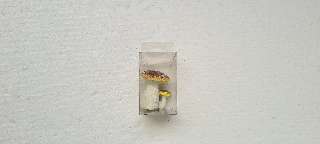 KERÁMIA  GOMBA, 8CM