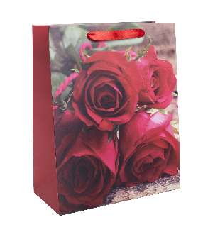 AJÁNDÉKTASAK, VÖRÖS RÓZSÁK, 26X32CM