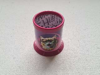 ÍRÓSZERTARTÓ ICO, CATS