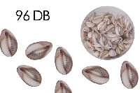 DEKOR MŰANYAG KAGYLÓ, 1,8 CM, 96DB/CSOM, KÁVÉSZEM