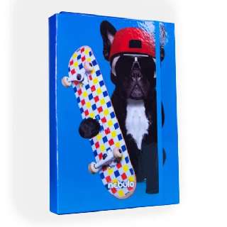 FÜZETBOX A/4, DESZKÁSBULLDOG