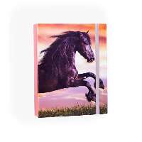 FÜZETBOX A/5, LÓ-FEKETE