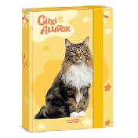 FÜZETBOX A/5, CUKI NORVÉG ERDEI MACSKA