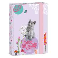 FÜZETBOX A/5, CUTE ANIMALS KITTEN
