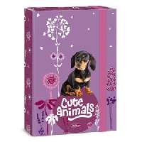 FÜZETBOX A/4, CUTE ANIMALS-PUPPY