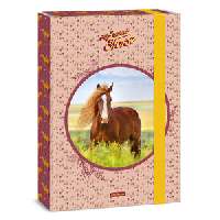 FÜZETBOX A/4, MY SWEET HORSE