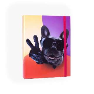 FÜZETBOX A/5, COOLBULL