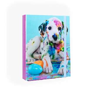 FÜZETBOX A/5, DALMATA