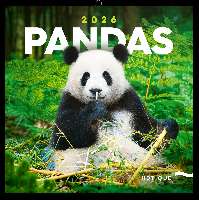 FALINAPTÁR 2026 6097-PS, LEMEZES, 30X30 CM, PANDAS