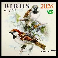 FALINAPTÁR 2026 6097-BI, LEMEZES, 30X30 CM, BIRDS IN ART