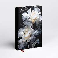 HATÁRIDŐNAPLÓ 2026 5321-60, PICTURE, A/5, NAPI, ÍRISZ