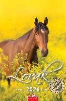 FALINAPTÁR 2026, LOVAK, 21X32 CM, SPIRÁLOZOTT