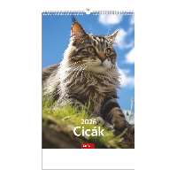 FALINAPTÁR 2026 T094-11A, 220 MM X 325 MM, CICÁK