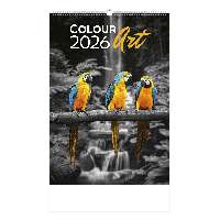 FALINAPTÁR 2026 T092-12A, 315 MM X 630 MM, COLOUR ART