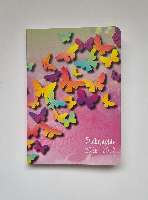 DIÁKNAPTÁR, 2026-2027, B/6, PILLANGÓ