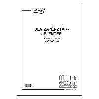 C.318-123/V DEVIZA PÉNZTÁRJELENTÉS, 25x2 PÉLDÁNYOS, A/4