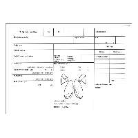 C.3321-81 TÜDŐ NYILVÁNTARTÓ LAP