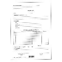 D.E.973/V JEGYZŐKÖNYV (LOPÁSI), 3 PÉLDÁNYOS, A/4