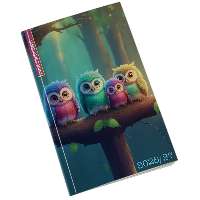 DIÁK ZSEBKÖNYV, 2026-2027, BAGOLY