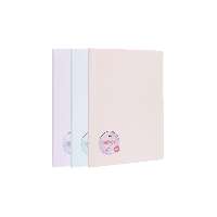 BEMUTATÓ MAPPA A/4 30 LAP, VEGYES PASZTEL