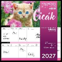 FALINAPTÁR 2027, HŰTŐMÁGNESES, 2 HETI, CICÁK
