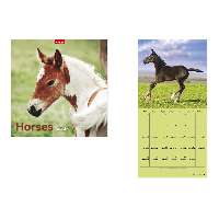 FALINAPTÁR 2027 T098-10A, 290 MM X 580 MM, HORSES